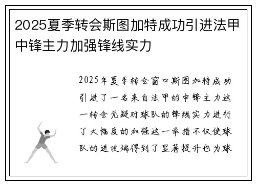 2025夏季转会斯图加特成功引进法甲中锋主力加强锋线实力